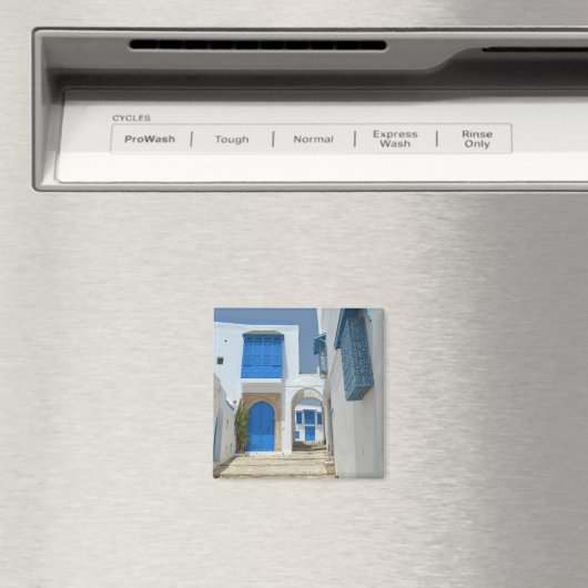 チュニジア マグネット (インサイチュ (食洗機))