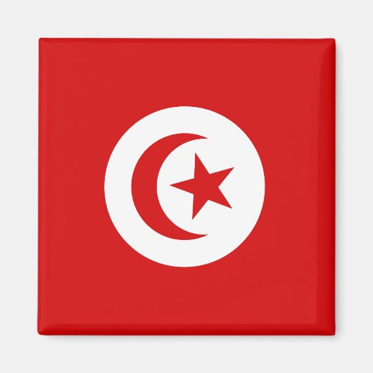 チュニジア マグネット (正面)