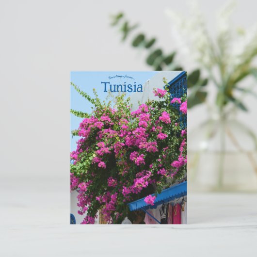 チュニス・チュニジアの洋服店と花 ポストカード (スタンド正面)