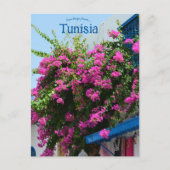 チュニス・チュニジアの洋服店と花 ポストカード (正面)