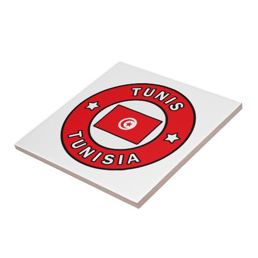 チュニス・チュニジア タイル (側面)