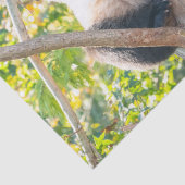 チュビージャイアントパンダの木ティッシュペーパー 薄葉紙 (詳細)