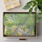 チュビージャイアントパンダの木ティッシュペーパー 薄葉紙 (ギフト)