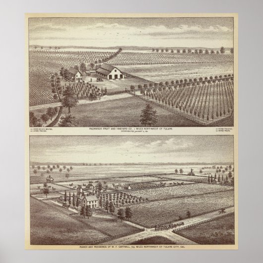 チュラール農場 ポスター (正面)