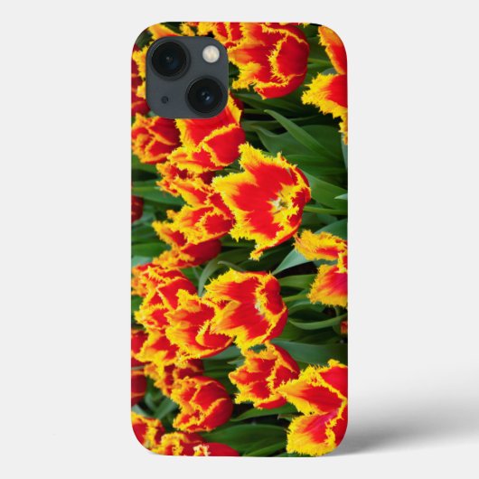 チュリパファビオ，ケウケンホフ，オランダ Case-Mate iPhoneケース (裏面)