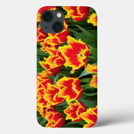 チュリパファビオ,ケウケンホフ,オランダ Case-Mate iPhoneケース (裏面)
