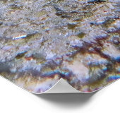 チュンキーライオンフィッシュ ポスター (角)