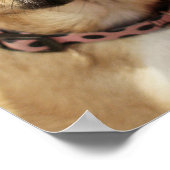 チューグル ポスター (角)