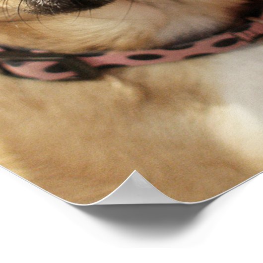 チューグル ポスター (角)