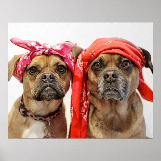 チューグル ポスター (正面)