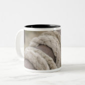 チューソン、アリゾナ: 使用されるロープおよびhanrnesses ツートーンマグカップ (正面左)