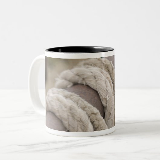 チューソン、アリゾナ: 使用されるロープおよびhanrnesses ツートーンマグカップ (正面左)