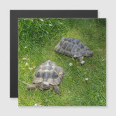 チューネムグラのツィイシルクレーテン (正面/裏面)