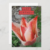 チューリかわいらしップフローラ誕生日カード (正面/裏面)