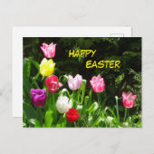 チューリカラフルップハッピーイースターはがき ポストカード (正面/裏面)