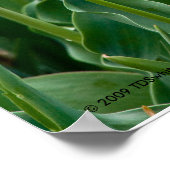 チューリカラフルッププリント ポスター (角)