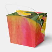 チューリカラフルップ取り出し特典ボックス フェイバーボックス (裏面サイド)