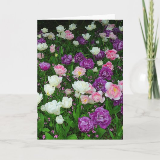 チューリカラフルップ カード (正面)