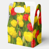 チューリカラフルップ フェイバーボックス (オープン)