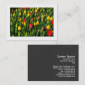 チューリカラフルップ 名刺 (正面/裏面)