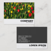 チューリカラフルップ 名刺 (正面/裏面)