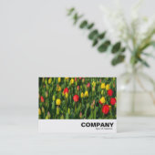 チューリカラフルップ 名刺 (スタンド正面)