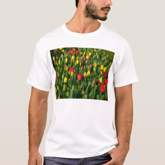チューリカラフルップ Tシャツ (正面)