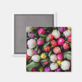 チューリッカラフルプスフラワーズイースター春 マグネット (正面/裏面)