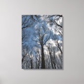 チューリップかわいらしポプラの木々曇り青空 キャンバスプリント (正面)