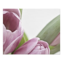 チューリップが咲いている