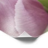 チューリップが咲いている フォトプリント (角)