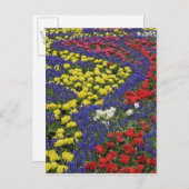 チューリップとブドウの花のパターン， 2 ポストカード (正面/裏面)
