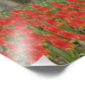 チューリップとブドウの花の模様 フォトプリント            (角)