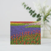 チューリップとムスカリの花のパターン 2 ポストカード (スタンド正面)