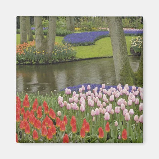 チューリップとムスカリの花の模様、 マグネット (正面)