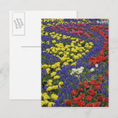 チューリップとムスカリの花の模様 2 ポストカード (正面/裏面)