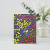 チューリップとムスカリの花の模様 2 ポストカード (スタンド正面)