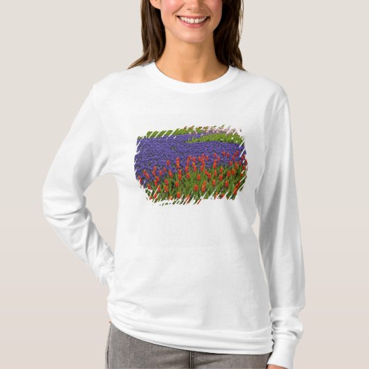チューリップとムスカリの花の模様 2 Tシャツ (正面)