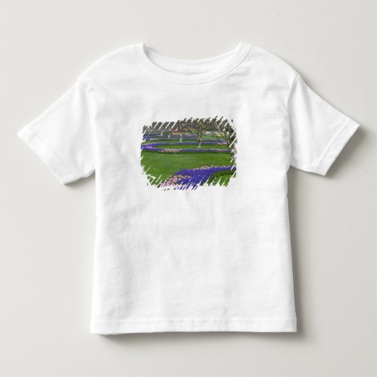 チューリップとムスカリの花の模様 4 トドラーTシャツ (正面)