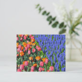 チューリップとムスカリの花 ポストカード (スタンド正面)