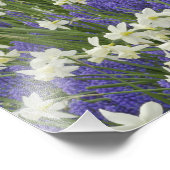 チューリップと水仙の庭、ケウケンホフ庭園 フォトプリント (角)