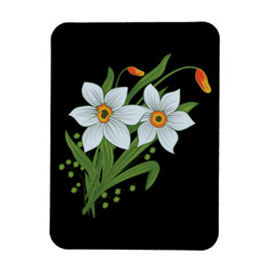 チューリップと水仙の花の黒い背景 マグネット