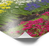 チューリップと水仙の花道 2 フォトプリント            (角)