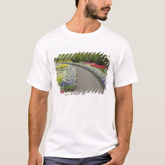 チューリップと水仙の花道 2 Tシャツ (正面)