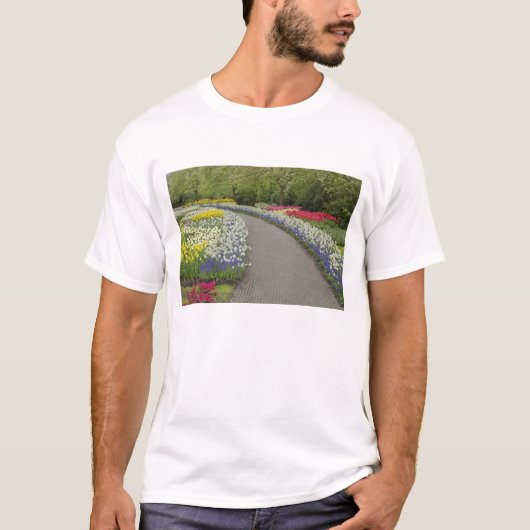 チューリップと水仙を通る歩道、2 Tシャツ (正面)