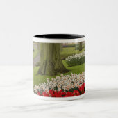 チューリップと水仙、ケウケンホフ公園 ツートーンマグカップ (中央)