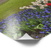 チューリップと水仙、ケウケンホフ公園、 フォトプリント (角)