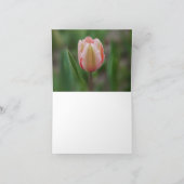 チューリップと聖なる書物、 経典 カード (内部)