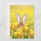 チューリップのイースターのウサギ シーズンカード (正面)