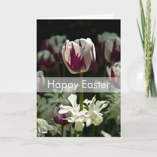 チューリップのイースターカード| Osterkarte Tulpen シーズンカード (正面)